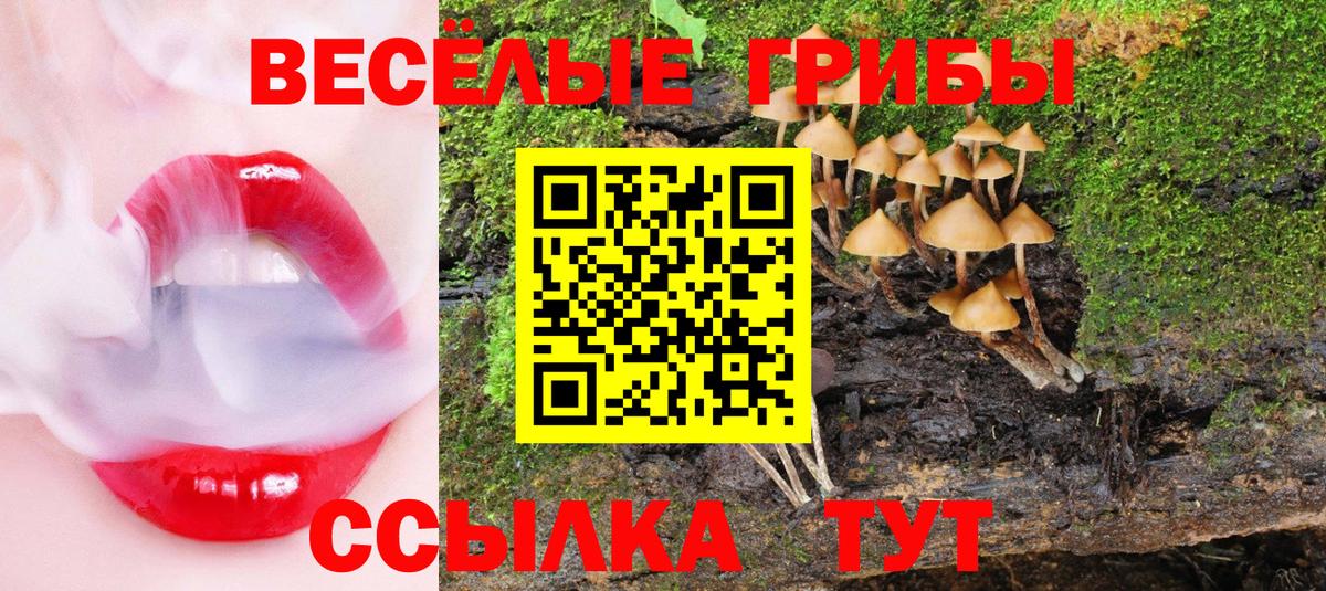 Псилоцибиновые грибы Psilocybe  Псилоцибиновые грибы Cubensis  где продают   Мытищи  Вход с VPN 