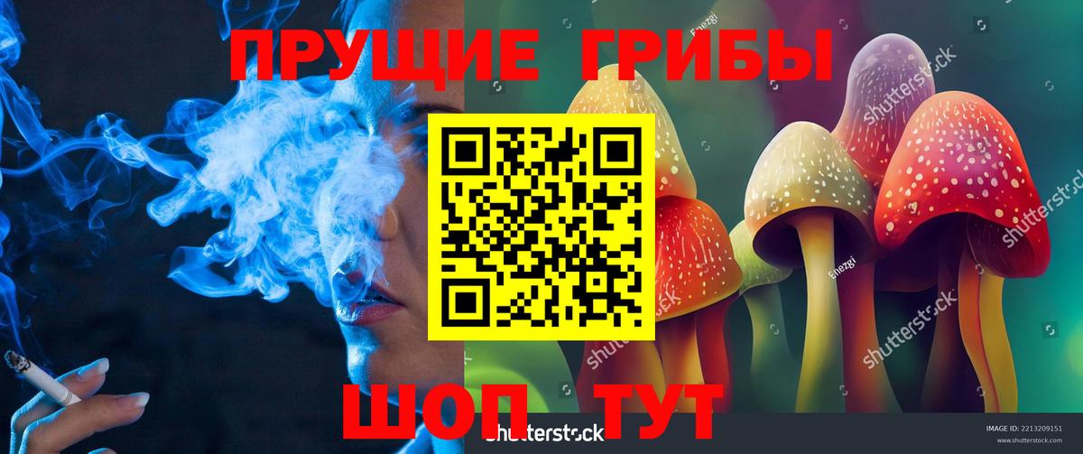 Галлюциногенные грибы MAGIC MUSHROOMS Мытищи